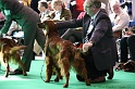 Crufts2011 675